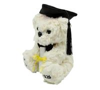 Generisch Cadeau École - Nounours Diplômé En Peluche 22 x 18 cm | Ours De Remise De Diplôme Promotion 2026 Avec Chapeau À Gland, Peluche Souvenir Pour Adolescents Fête Maternelle Primaire Lycée, 150 g