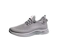 Generisch Casual Shoes Men's Trainers 39-40 Large Size Jogging Shoes Comfortable Skateboard Shoes with Laces Flat Shoes Mesh Walking Shoes Trend Street Shoes Classic Travel Shoes Running Shoes, gray