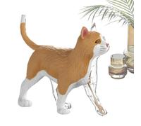 Generisch Cat Anatomy Model for Kids | 4D Teaching Aid | Teaching Demonstration Model | for Kids, Teens, Students, Vets, Teachers, Educators, Collectors, School, Classroom, Home
