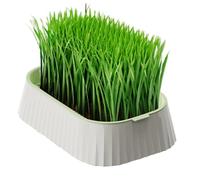 Generisch Cat Grass Pot, Organic Wheatgrass Planter Tray, Double Layer Soilless Growing Container for Indoor Pets, Healthy Nursery Box for Cats Dogs Rabbits, Home Gardening Kit, 19 x 12.5 x 5 cm