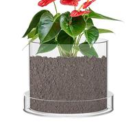 Generisch Clear Plant Pots with Drainage Acrylic Sowing Vase | Propagation pots with drainage for the garden, the greenhouse, for potting, planting, propagating, growing, indoor and