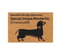 Generisch Confident Dachshund Doormat Funny Praise Sayings Trusting Words Door Mat Decorative Entrance Blanket Made of Dacron Indoor & Outdoor Welcome Mat