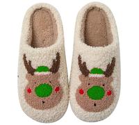 Generisch Delightful women's slippers, winter warm slippers, non-slip thickened cotton slippers, lightweight leisure hat shoes, lined plush felt slippers, many fun designs, Green, 8 UK