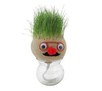 Generisch DIY Grass Head Toy - Miniature Bonsai with Germination, Decorative Indoor Plant Figure | Set for DIY Grow Green Plants, Playful Nature for the Desk