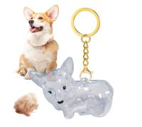 Generisch Dog Hair Keepsake - Dog Hair Lanyard Keepsake - Emotional Charm Pendant Holder Transparent Storage for Memory Men Women Car Handbag