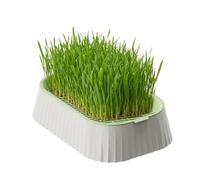 Generisch Earthless Cat Grass Growing Set, Reusable Double Tier Tray with Non-Slip Base, Planter for Cat Grass, for Placing Indoors and Outdoors