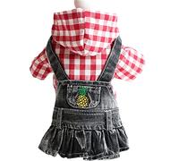 Generisch Embroidered Fruit Dog Dress Plaid Stripes Denim Hooded Jacket Fashion Pet Clothes for Small Dogs Puppies (C, XL)