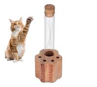 Generisch For Cat Whiskers - Clear Keepsake Container Cat Memorial Holder Handmade Wooden Stand Gentle Embellishment Estimated Memory Display | Minimal Decorative Stim