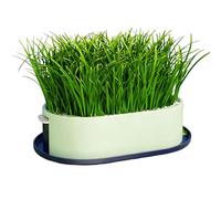 Generisch For the cultivation of cat grass, hydroponics plant container, container for growing cat grass, for pets for snacking, eating and feeding for