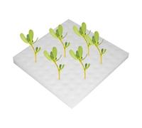 Generisch Growing Sponges - Planting Tool for Hydroponics Sponges and Seedlings, Seedling Germination Aid with Root Stimulation for Salad Tomatoes Growing Lessons Education Urban Farming Garden Indoor