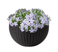 Generisch Hanging Vase - Basket Pot Container | Garden Box | Garden House Decoration with Removable Hooks | Artificial Planter Landscape | Mounted Window Hanging Basket