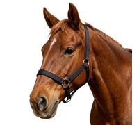 Generisch -Headcollar Adjustable Pasture and Show Accessories | Riding harness for use on the farm and for various agricultural farm animals such as cows, goats, sheep,