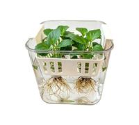 Generisch Hydroponic Planter, 4-Compartment Flower Growing Container - Water Plant Pot Hydroponic Planter for Indoor Use Home Balcony Bedroom Kitchen Garden Yard Outdoor Gardening and