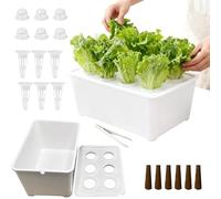 Generisch Hydroponics Plant Set, Beginner-Friendly Equipment, Hydroponics Propagation Box, Plant Container, For Fruits, Salad, Flowers, Balcony, Parterre, Hotel, Apartment