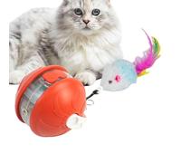 Generisch Interactive Ball for Cats - Interactive Kitten Toy for Hunting - Safe Quiet Training Accessory for Exercise at Home in the Garden on the Balcony