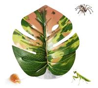 Generisch Jumping Spider Leaf, Realistic Accessory in Leaf Shape with Suction Cup, Jumping Spiders Cage Decorations, for Plants, Terrarium, Snake, Hermit Crab, Propagation Egg, Zoo, Bird