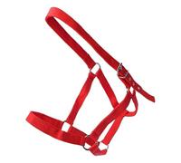 Generisch Knitted Halter for Adjustable Equestrian and Leading Harness