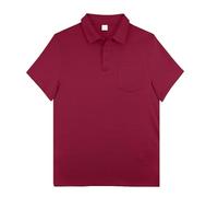 Generisch Men's Polo Shirt Europe USA Design Plain Loose Fit Outdoor Leisure Short Sleeve Breathable Bird's Eye View, Wine Red, XL