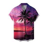 Generisch Men's Summer Shirt Digital Print 3D Design Short Sleeve Button Down Shirt Breathable Casual Fashion Lightweight Top Modern Men's Clothing, gray, XL