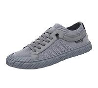Generisch Mesh Shoes Men's Summer Mesh Hollow Casual Sports Shoes Lightweight Breathable Summer Models A Foot Lazy Man Shoes, gray, 9 UK