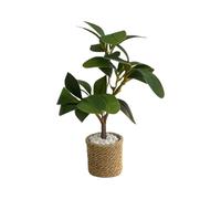 Generisch Miniature Plants, 1 6 Scale Small Artificial Green Plants Model, Mini Potted Plants | For Christmas, Birthday, Fairy Garden Accessories, Desk, Home, Windowsill