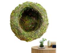 Generisch Moss Ball Flower Pot, Moss Ball Planter, Creative Flower Holder