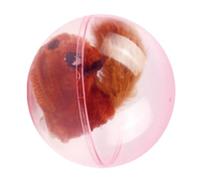 Generisch Movement Toy for Cats - Electric Roller Ball with Squirrel Motif | Interactive Cat Toys - For Exercise & Activity In The House