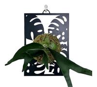 Generisch Plant Hanger for Indoor Use, Modern Flower Pot Display Rack - Plants Wall Holder Frame Exhibition | For Windowsill Patio Entrance Living Room Indoor And