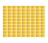 Generisch Poker Chips | Poker Chips with Playing Cards | 100 Pieces for Card Games at Home Meetings, Parties, Camping as well as for Adults, Enthusiasts and Amateurs