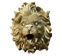 Generisch Pond Spitter Fountain Head - Wall Hanging Resin Water Sprayer Ornament Dragon Lion Design Decorative Nozzle for Pool Fish Pond Fountain Water Feature for Garden Exhibition