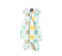 Generisch Post-operative recovery clothing for cats after abdominal surgery specially developed against licking of the wound, soft cotton material (mint green, 24.5 cm)