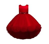 Generisch Princess Dress Girls Tulle Dress Summer Party Dress Pageant Dress Carnival Folk Festival Wedding Dress Evening Dress Cocktail Dress Party Christening Children's Costumes Toddler Summer Dress