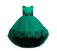 Generisch Princess Dress Girls Tulle Dress Summer Party Dress Pageant Dress Carnival Folk Festival Wedding Dress Evening Dress Cocktail Dress Party Christening Children's Costumes Toddler Summer Dress