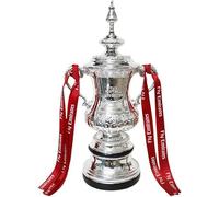 Generisch Replica of The Football FA Cup Trophy with Ribbon, Resin Electroplated Silver Hollow Football Trophy Fan Souvenir Collection Gifts Office Decorations (18 cm)