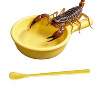 Generisch Reptile Feeding Bowl - Reptile Feeding Plate with Spoon | Lizard Feeding Bowl | For Holders Growers Terrarium Enclosure Shelters Home Office Hermit Crab Lizard