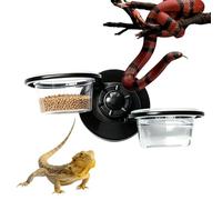 Generisch Reptile Feeding Bowl - Wall-Mountable Removable Feeder with Suction Cup, Reptile Bowls | for Turtle Snake Hermit Crab Leopard Gecko Chameleon Python Spider