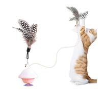 Generisch Retractable Cat Toy for the Home, Chew-resistant Companion for Playing, Interactive Cat Toy, for Small, Medium, Large Catras, Home, Study, Balcony, Garden