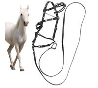 Generisch Rigid Polyester Training Caves 4 Knots 1/4" | Cheap Lead 3.5m | Complete Set for | Safe Training, Resistant, Practical Animal Management, Daily Use