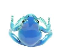 Generisch - Ring - Tree Frog Parody Ring, Open Adjustable Ring | Strange and Funny Fashion Jewellery | Finger Accessory on Nature for Women, Men and Children Who Love Animals