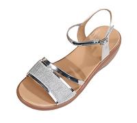 Generisch Sandals Women's Mules Comfortable Sandals Summer Omen's Summer European Style Outdoor Trade Shoes with Slanting Heel Fish Mouth Sandals, silver, 5 UK
