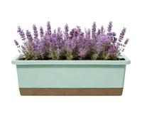 Generisch Self-Watering Flower Pots, Cuttings Container, Rectangular Plant Pot with Saucer, Drain Hole and Suction Rope, for Growing on Windowsill, Patio, Balcony, in the Garden
