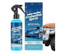 Generisch Spray, 100 ml Car Window Snow Removal, Melt Spray, for Morning Commuting, Trucks, Cold Weather, Outdoor Parking, Long Distance Driving, Road Trip