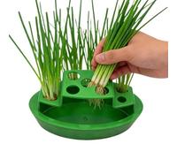 Generisch Spring Onion Plant Pot - Propagation Pot, Onion Planter for the Windowsill | For Growing on Kitchen Windowsill and Worktop for Fresh Herbs