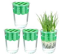 Generisch Spring Onion Planter Indoor Reusable Hydroponics Reproduction Station for Spring Onions, Container for Spring Onions, for Windowsill, Garden, Home, Indoor Kitchen Corner