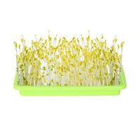 Generisch Sprout Bowl - 250G Lightweight Sprout Tray, Germination Trays, Easy to Use Plant Germ Tray Kits, Wheatgrass Sprout Starter Tray for Outdoor Accessories, Indoor and Outdoor