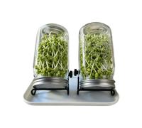 Generisch Sprouting Jar Kit with Stand | Healthy Seedling Cultivation - Sprouting Jar for Broccoli Sprouts - for Gardeners Beginners Self-Catering Vegetarians Kitchen Windowsill Office Storage Rack
