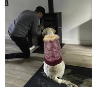Generisch Stylish Winter Coat for Dogs, Leather Jacket with Faux Fur Collar Provides Ultimate Warmth, Fashionable Elegance, Ideal in Cold Adventure Weather (B, XXL)