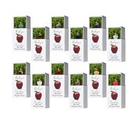 Generisch Teacher Appreciation Keepsake, Fruit Shaped Santa Boot Filler with Box - End of Year Remembrance Gift, for Girls, Students, Teenagers, Children, in the Classroom, for