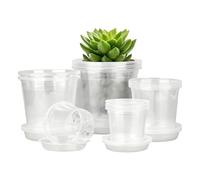 Generisch Transparent Flower Pot Set with Saucers, Pack of 20 | Transparent Propagation Containers with Drainage Holes | Ideal for Strawberries, Orchids, Succulents, Cacti, Carrots, Cucumbers and