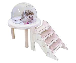 Generisch Transparent Hamster Sand Bath Container, Small Animal Sand Container - Transparent Chinchilla Bath with Ladder - for Caring Digging for Gerbil Hedgehog Cage Habitat Decoration